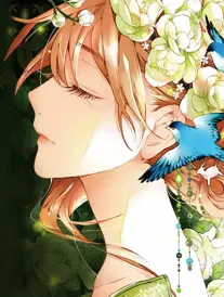 回声迷宫